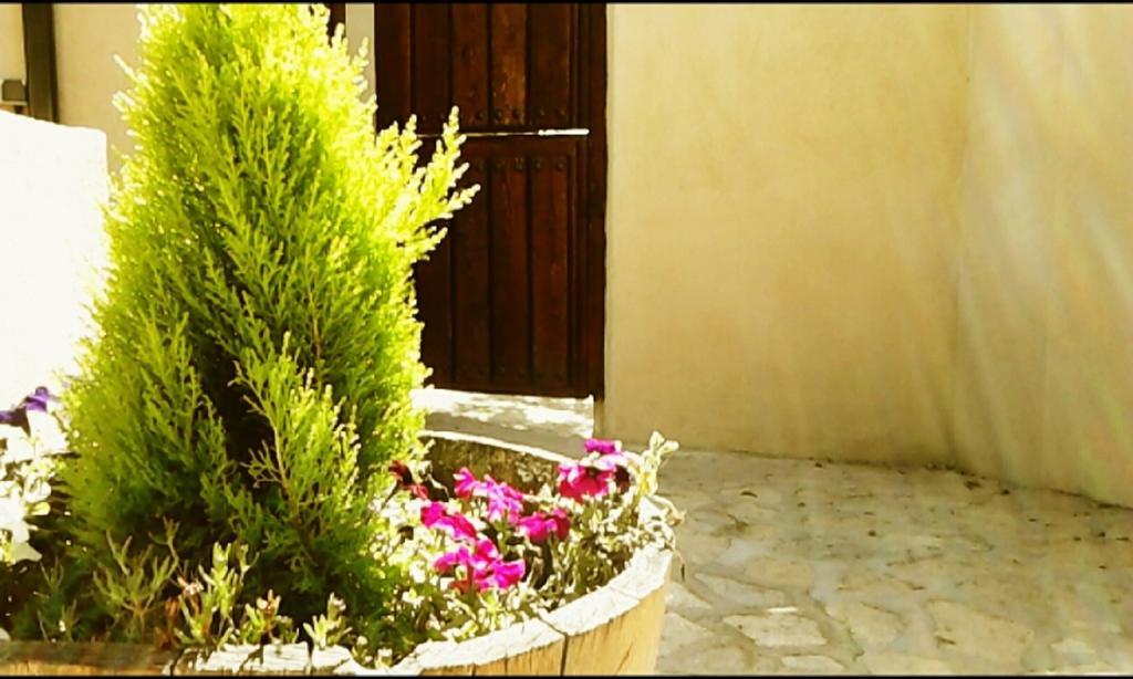 El Jardincillo Robledo de Chavela Exterior photo